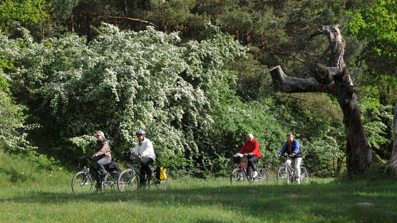 © Waren (Müritz) Kur- und Tourismus GmbH © Waren (Müritz) Kur- und Tourismus GmbH