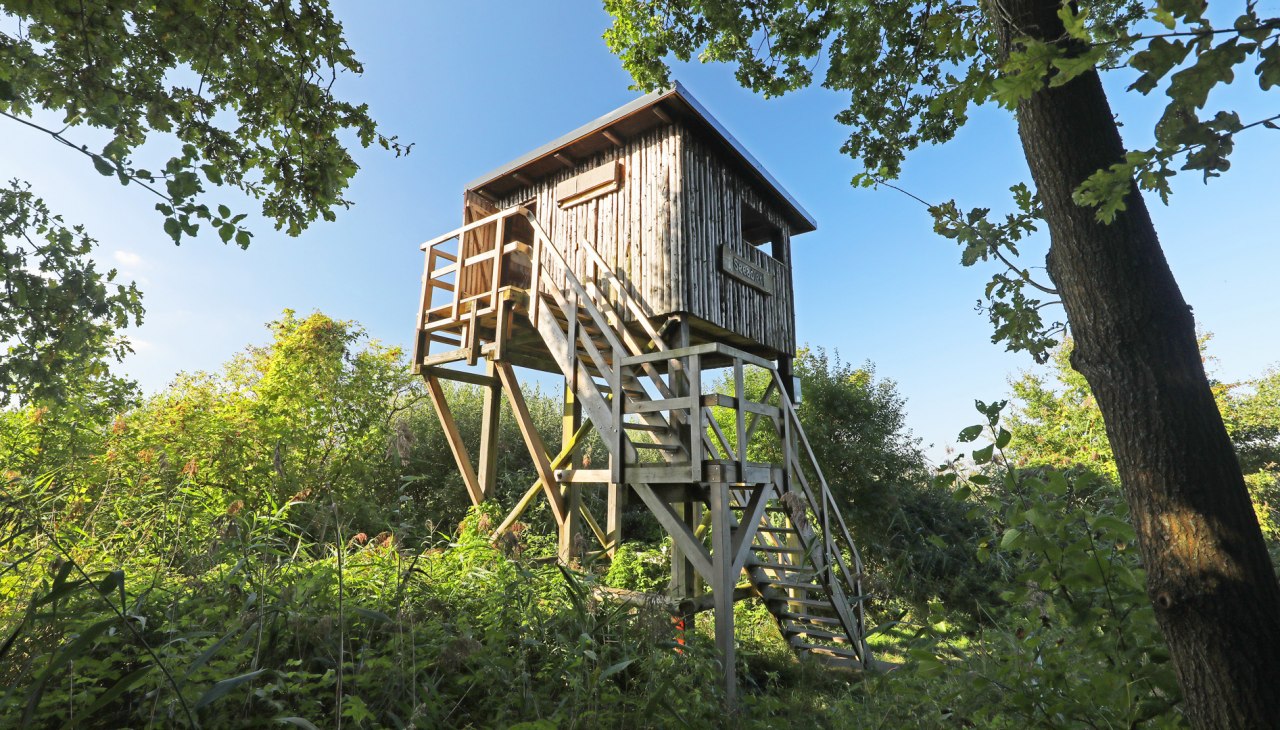 Aussichtskanzel Seeadler_4, &copy; TMV/Gohlke
