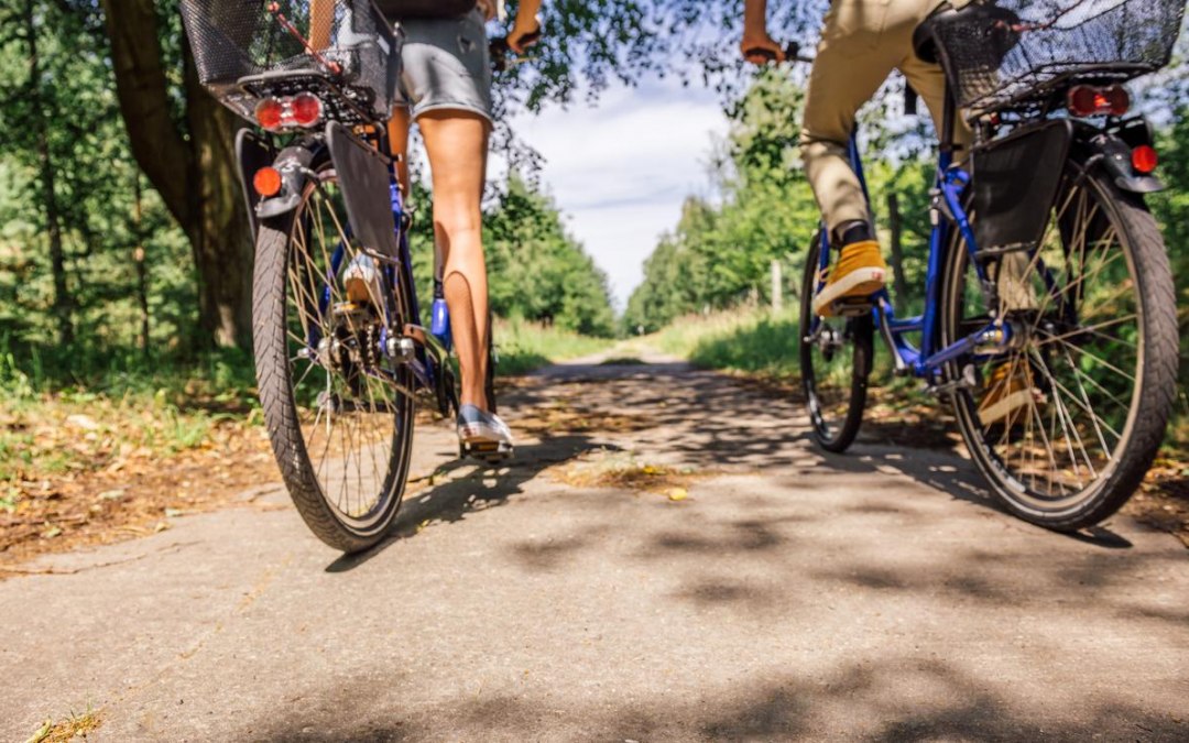 Fahrradtour durch die Rostocker Heide, &copy; TMV/Tiemann