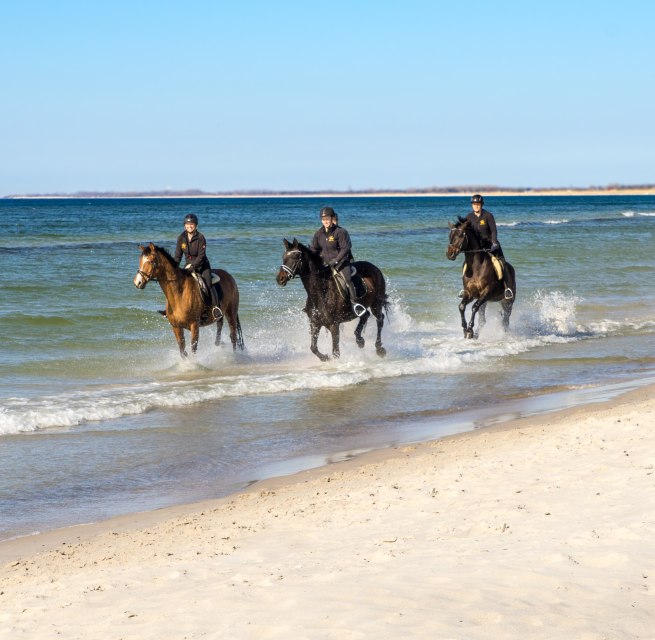 © bernsteinreiter © bernsteinreiter