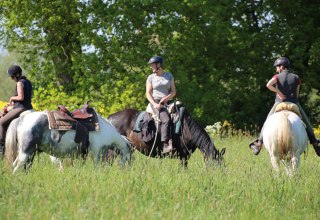 Gemütlicher Ausritt zur Rapsblüte, © ART.Quartier/Anne Hille Gemütlicher Ausritt zur Rapsblüte, © ART.Quartier/Anne Hille