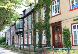 &copy; Kristin Damaschke