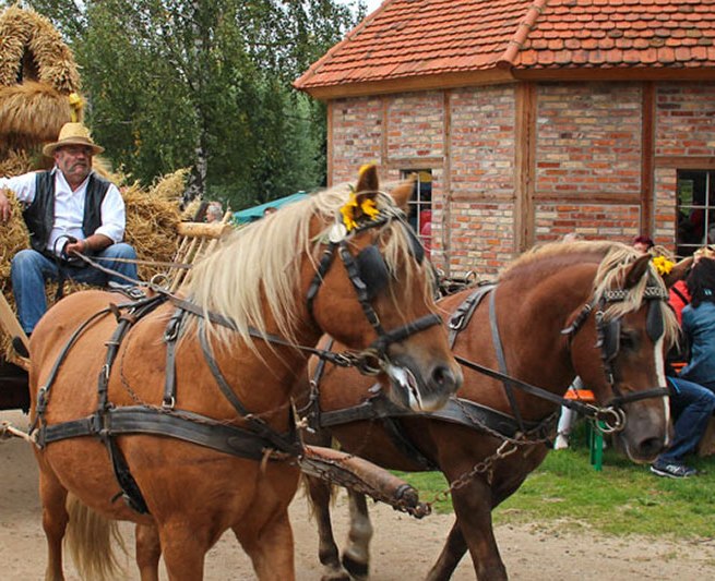 Festumzug // &copy; Freilichtmuseum Klockenhagen