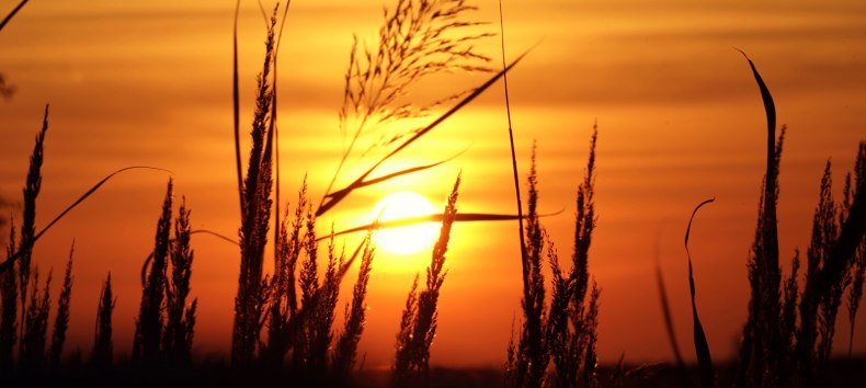 &copy; Nico Offermann