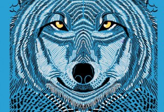 Wolf, © Katerstets Wolf, © Katerstets