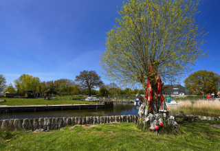 © TMV/Gohlke © TMV/Gohlke