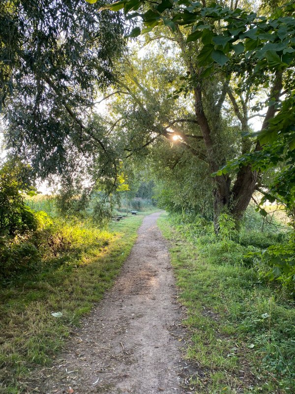 &copy; Waren (M&uuml;ritz)-Information