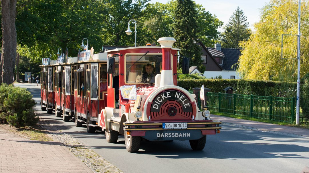 Darssbahn Erlebnistouren, © Moritz Kertzscher