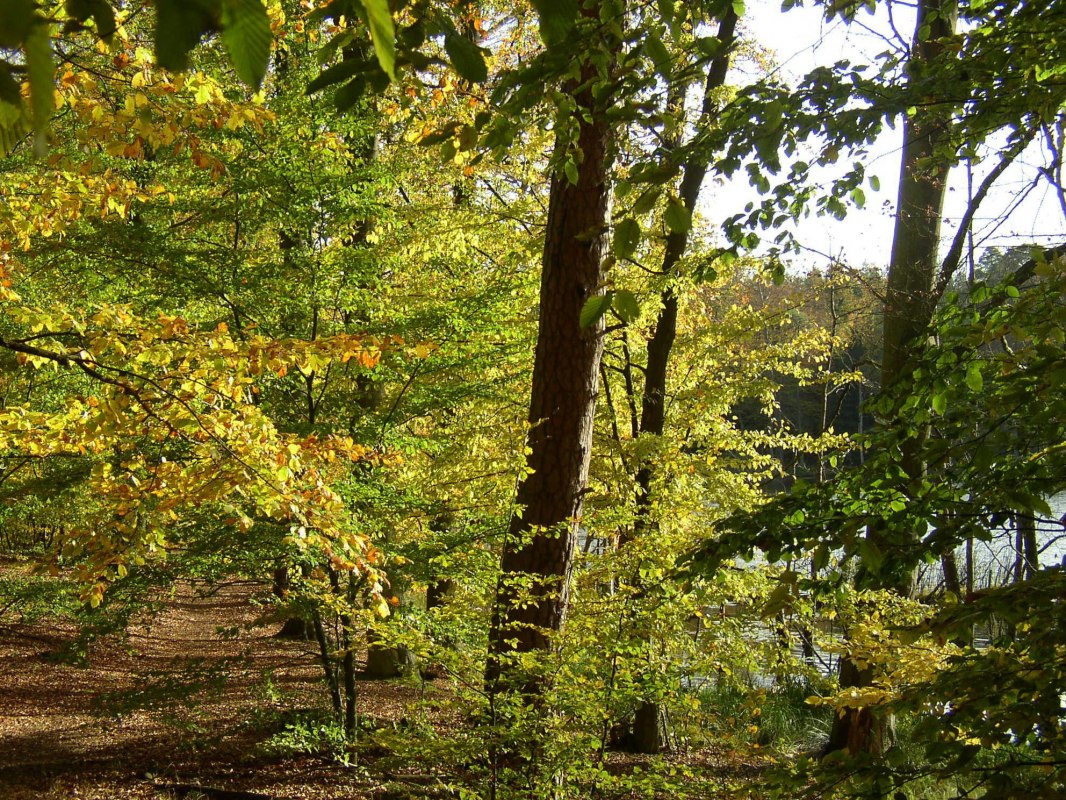 © Stadt Neustrelitz © Stadt Neustrelitz