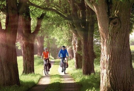 Radeln auf der Allee // &copy; MV-T/outdoor-visions.com