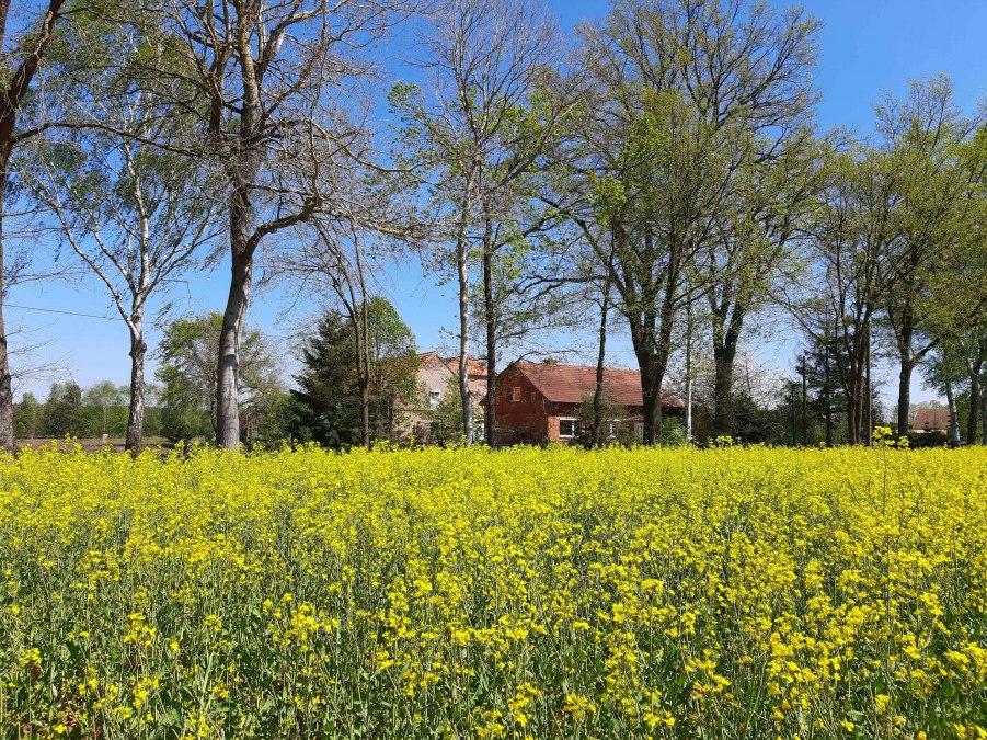 LüttenHof-Retreat, © Tanja von Heintze