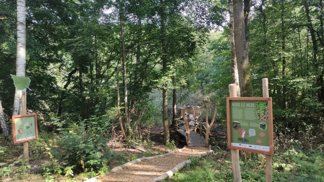 Weg ins Moor, © Jana Koch Weg ins Moor, © Jana Koch