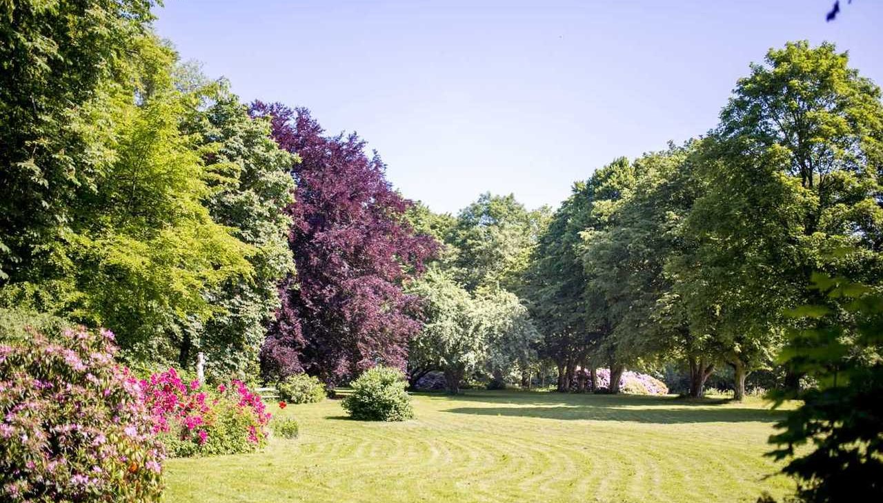 Rhododendronb&ouml;&uuml;te im Park, &copy; Herrenhaus Samow