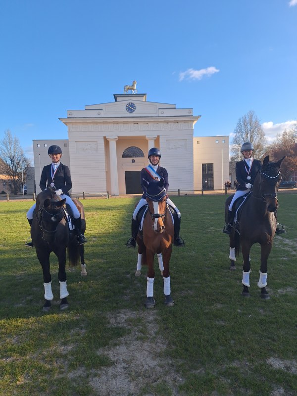 Landeshallen-Championat Dressur auf dem Landgestüt Redefin, © Landgestüt Redefin Landeshallen-Championat Dressur auf dem Landgestüt Redefin, © Landgestüt Redefin