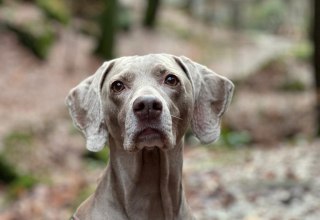 &copy; Erlebnis Akademie AG/NEZR