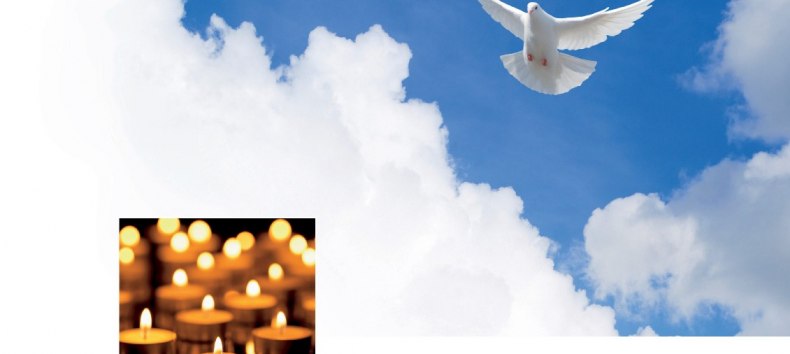 &copy; Stadt Ribnitz-Damgarten