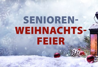 &copy; Bernsteinstadt Ribnitz-Damgarten