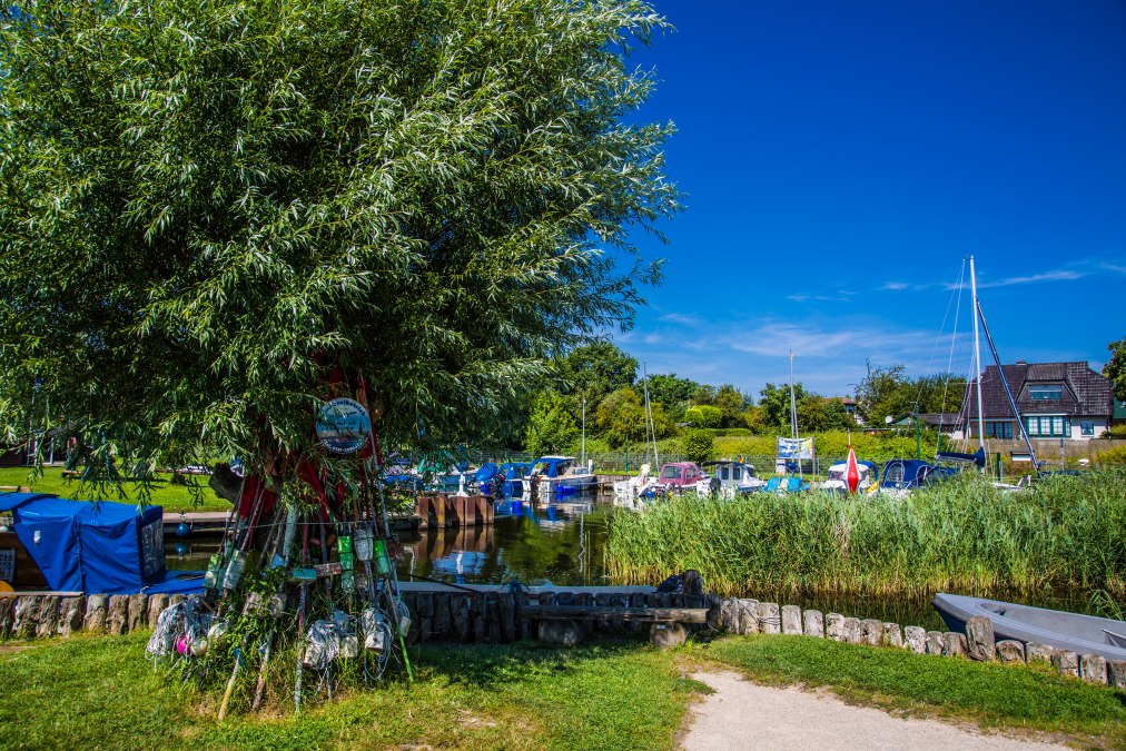 Mittsommer-Konzert im Zempiner Hafen mit "Lilly & Co.", &copy; 20240807-IMG_2598.jpg