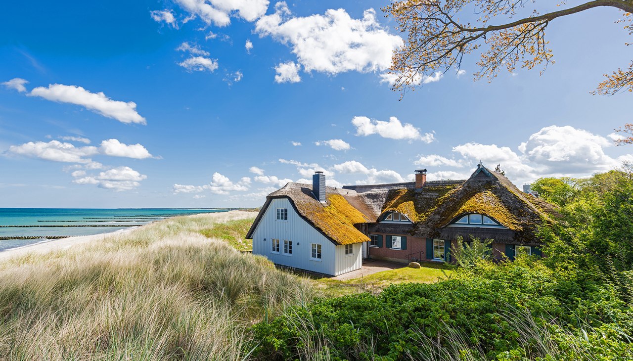 Frühjahr in Ahrenshoop, © AdobeStock majonit Frühjahr in Ahrenshoop, © AdobeStock majonit