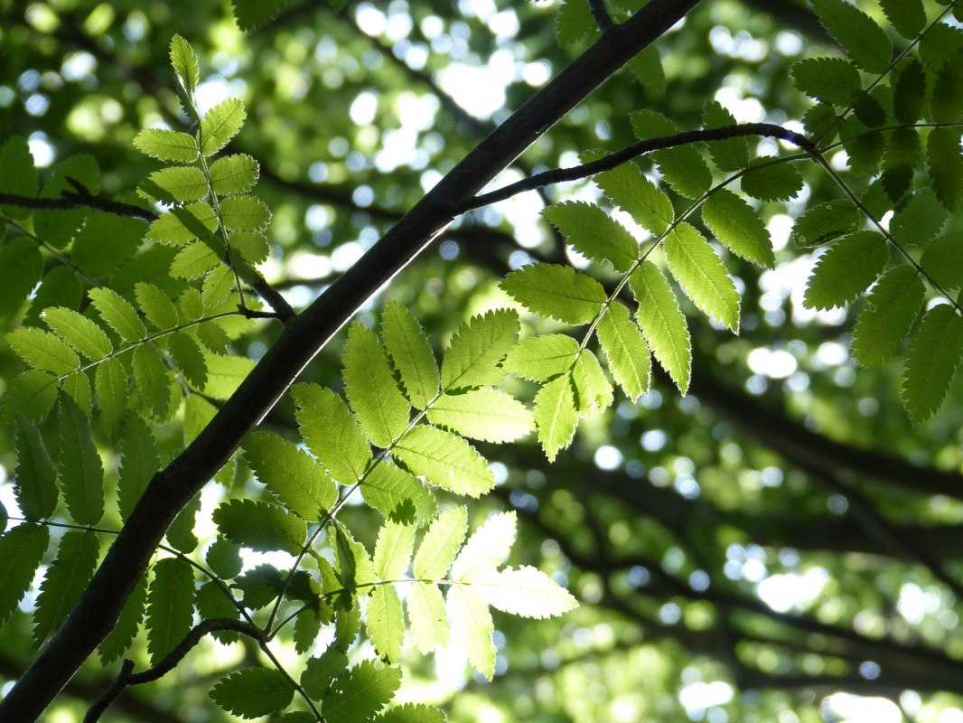 © Bianca Schubert © Bianca Schubert