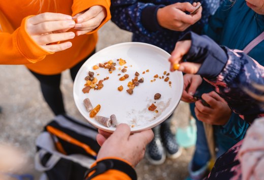 Kinder halten eine Schale mit frisch gesammeltem Bernstein und Sand bei einer Strandexkursion an der Ostsee.