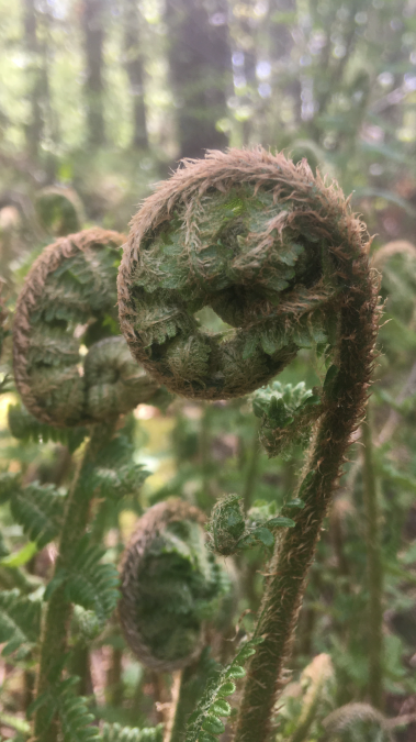 Tu dir gut &ndash; Die Natur erleben, &copy; IMG_7895.PNG