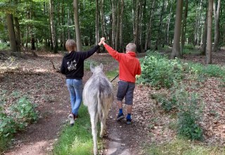 Ein Spaziergang im gemütlichen Esel- Tempo kann ein tolles Erlebnis für die ganze Familie sein. Esel sind besonnene und feinfühlige Tiere, die gerne mit menschlicher Begleitung auf Wanderschaft gehen. // © Andrea Hauser Ein Spaziergang im gemütlichen Esel- Tempo kann ein tolles Erlebnis für die ganze Familie sein. Esel sind besonnene und feinfühlige Tiere, die gerne mit menschlicher Begleitung auf Wanderschaft gehen. // © Andrea Hauser
