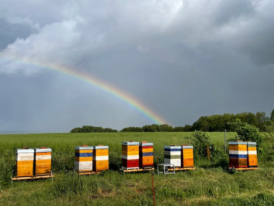 Gewitterstimmung am Peenestrom, © Peter Wittenberg Gewitterstimmung am Peenestrom, © Peter Wittenberg