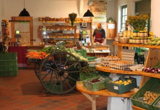 Auswahl an frischem Obst und Gemüse // © Biofrisch Nordost Auswahl an frischem Obst und Gemüse // © Biofrisch Nordost