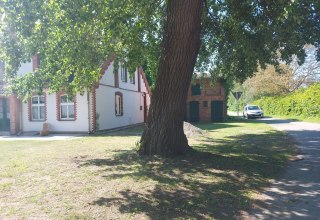 Aussenansicht Ferienhaus Sommer Linden // © Sommer Linden Aussenansicht Ferienhaus Sommer Linden // © Sommer Linden