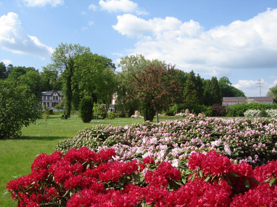 Schaugarten 1, © Kur- und Tourismus GmbH Waren (Müritz) Schaugarten 1, © Kur- und Tourismus GmbH Waren (Müritz)