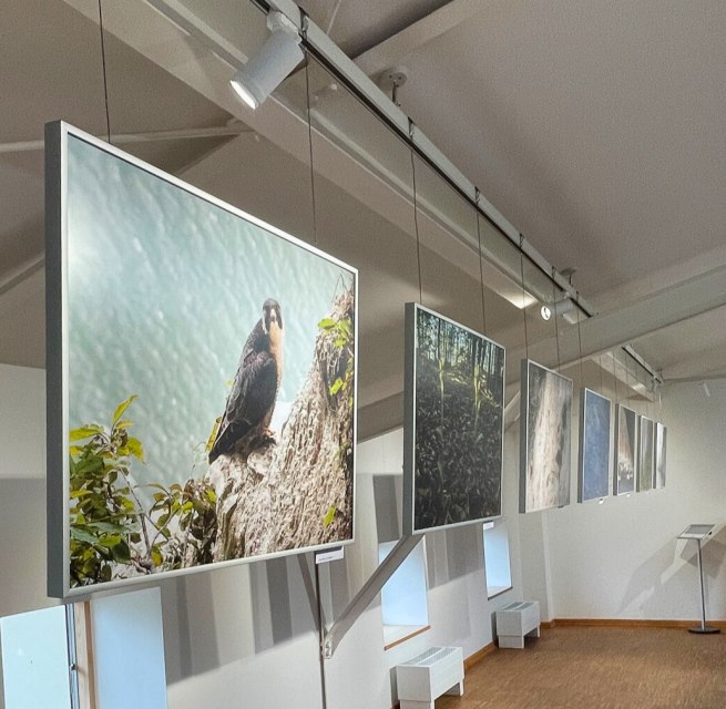 © Nationalpark-Zentrum KÖNIGSSTUHL