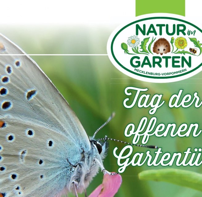 &copy; Landschaftspflegeverband Mecklenburger Endmor&auml;ne e.V.