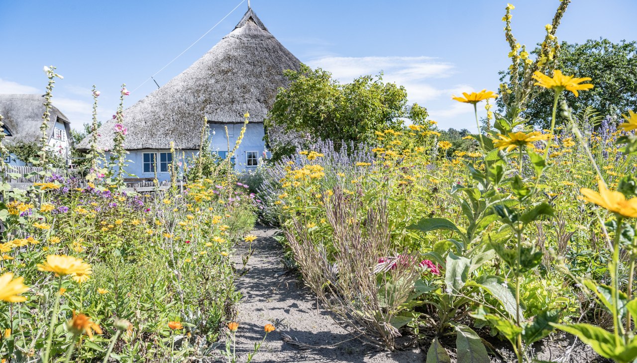 MCHGT202181036-6694, © Lars Wehrmann MCHGT202181036-6694, © Lars Wehrmann