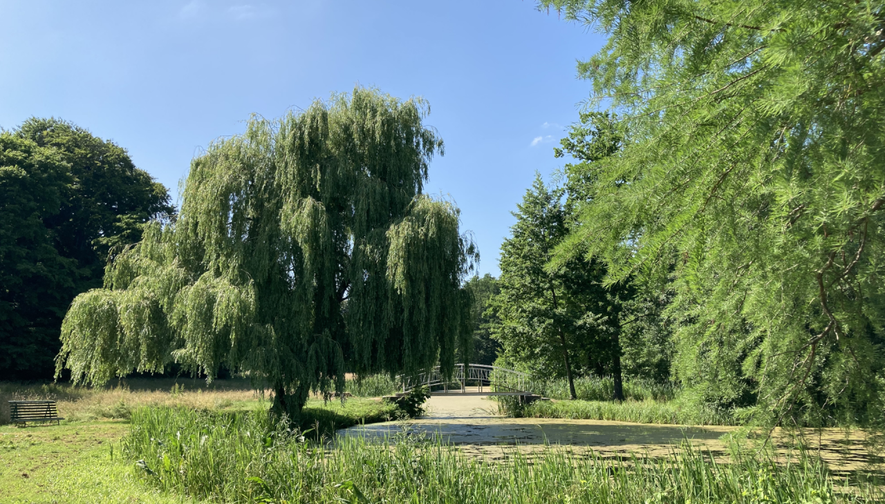 Im Schlosspark Semlow, © Tourismusverein VR/Manuela Steimle