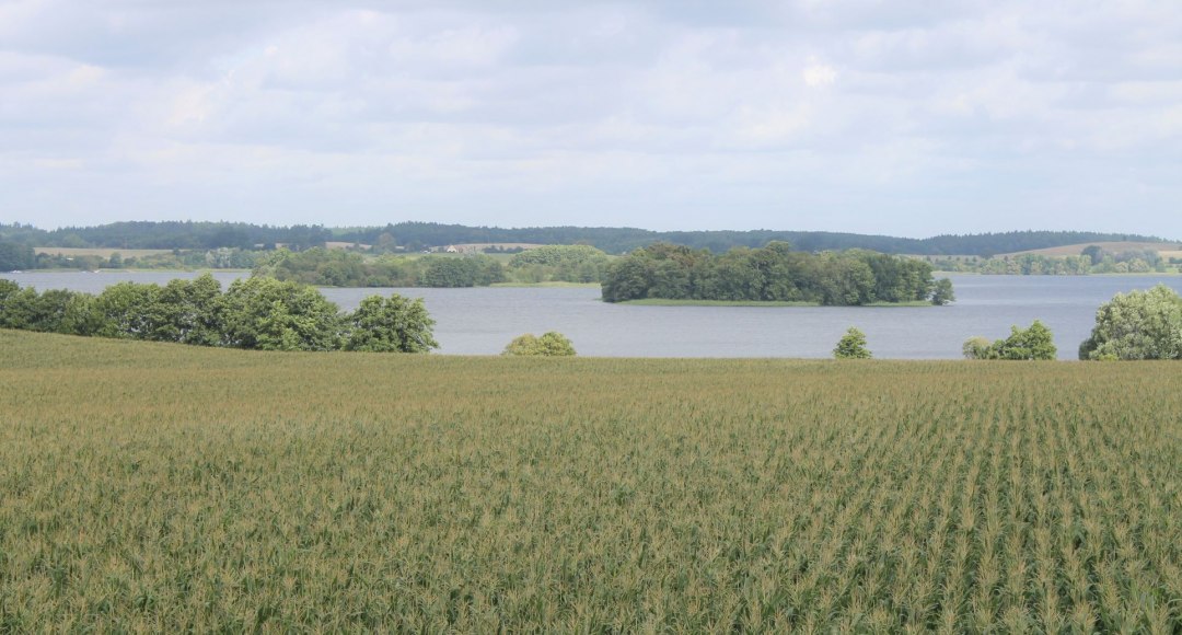 Wundervolle Ausblicke auf Inseln und Halbinseln der Krakower Seenlandschaft, © Touristinformation Krakow am See