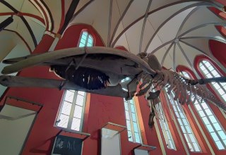 &copy; (c) Ingenieurkammer Mecklenburg-Vorpommen