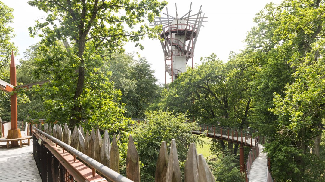 Baumkronenpfad, © Landesforst MV