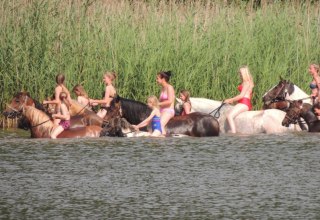 In der Region Goldberg-Mildenitz mit Pferden ins Wasser reiten // &copy; Tourismusverein Waelder, Seen und Mehr e.V.