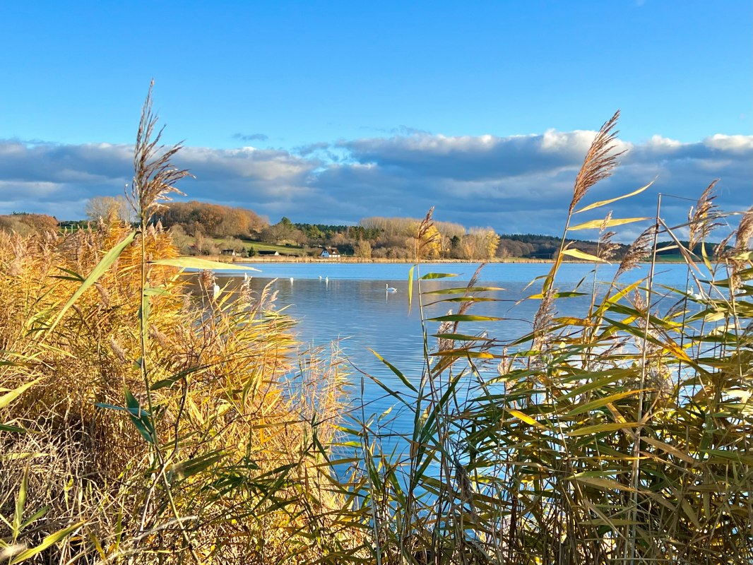 © KV Sellin © KV Sellin