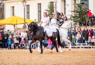 © Sarina Bruhn © Sarina Bruhn