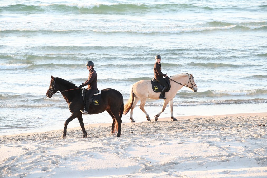 Reiten am Strand, © TMV/ACP Pantel Reiten am Strand, © TMV/ACP Pantel