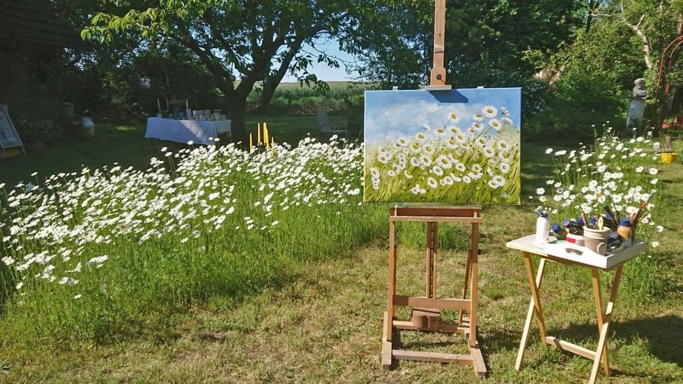 Margariten, © Frank Döhler