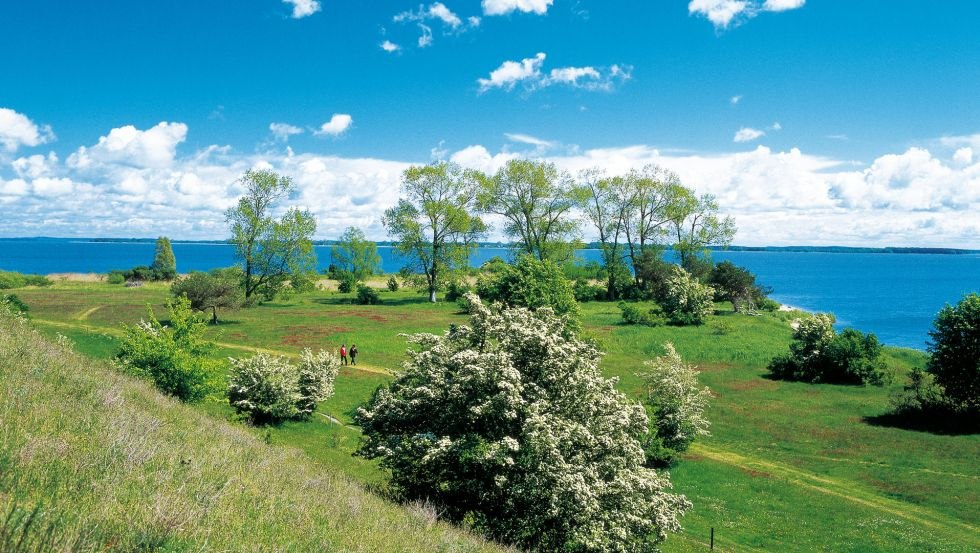 Mövenort an der Südspitze Gnitz, © TMV/Grundner Mövenort an der Südspitze Gnitz, © TMV/Grundner