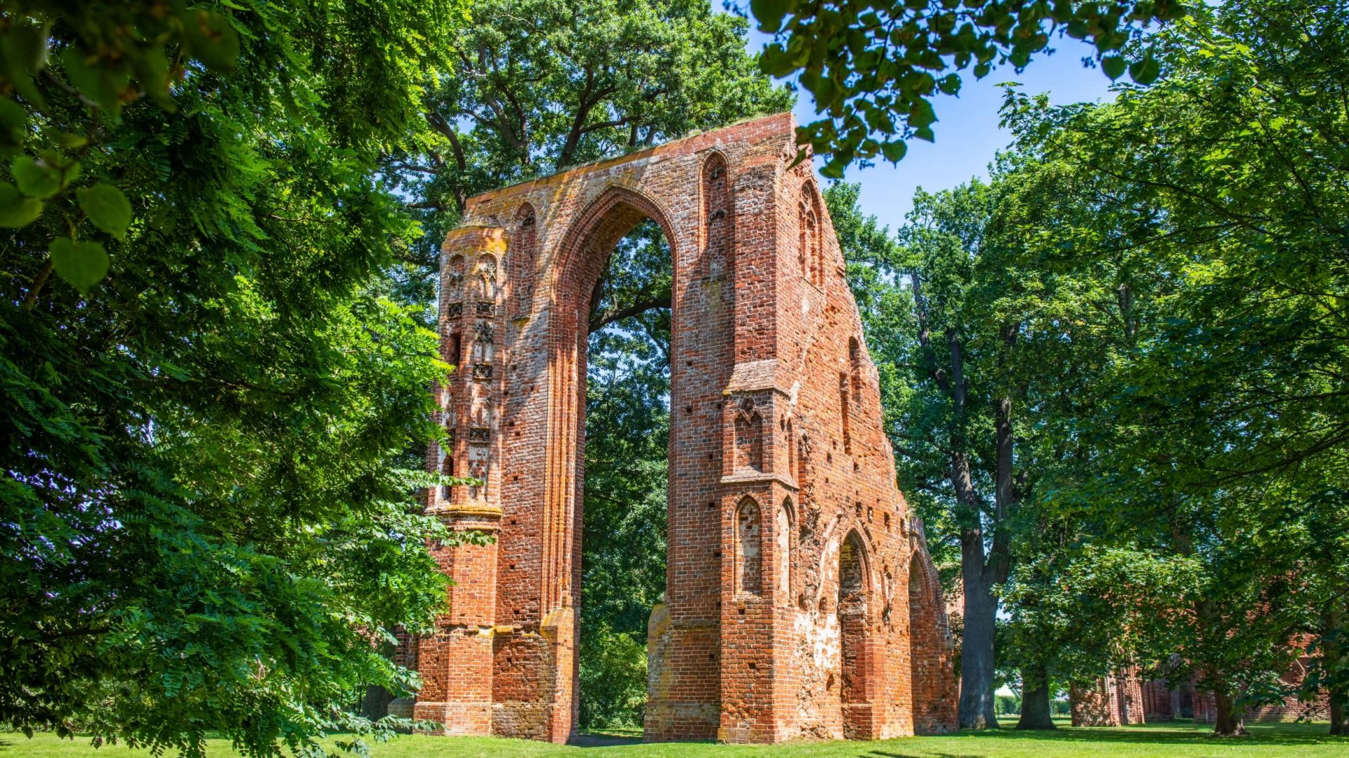 Die Klosterruine in Eldena steht zwischen Bäumen bei Sonnenschein bei Greifswald. // Die Klosterruine Eldena. Sie steht am Ortsrand von Greifswald. // © MV-T/Tiemann Die Klosterruine in Eldena steht zwischen Bäumen bei Sonnenschein bei Greifswald.