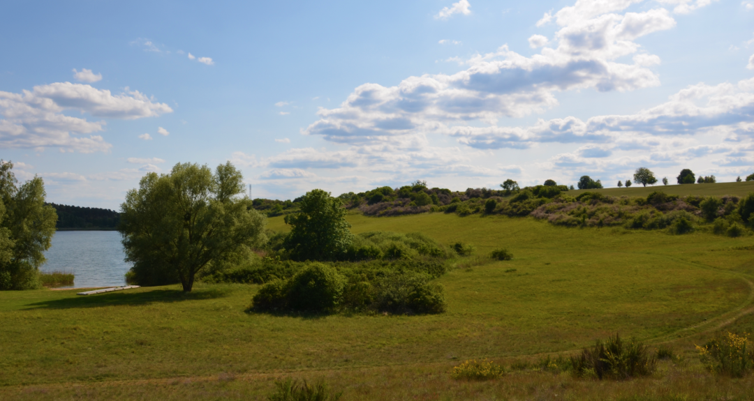 Cantnitzer See Badestelle Nordufer 2, &copy; Martin M&ouml;ller