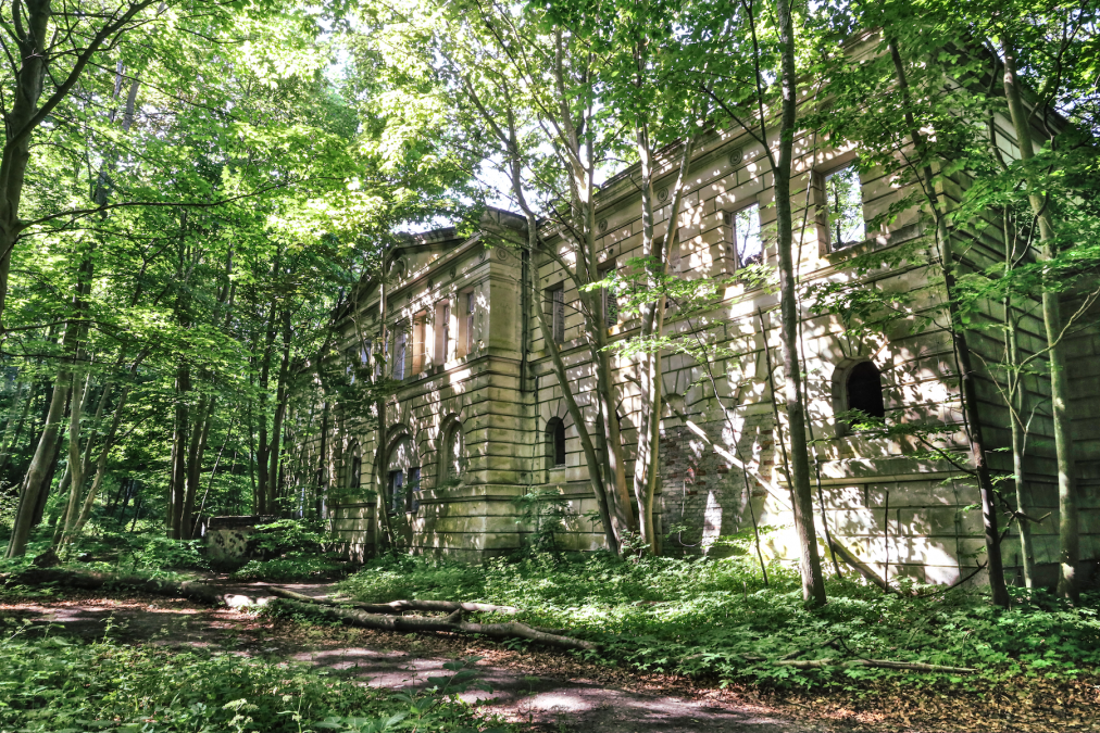 schlossruine-dwasieden_3, &copy; TMV/Gohlke