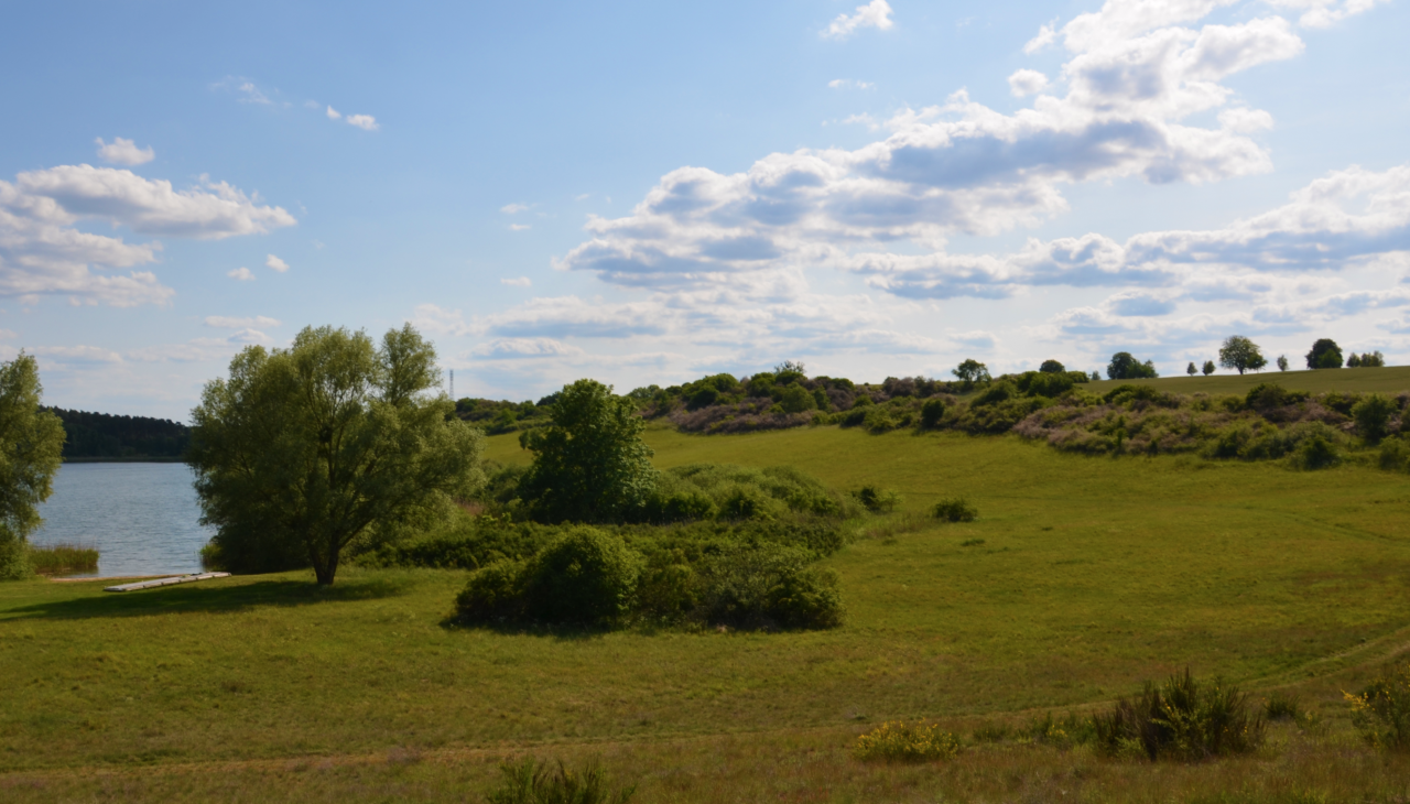 Cantnitzer See Badestelle Nordufer 2, &copy; Martin M&ouml;ller