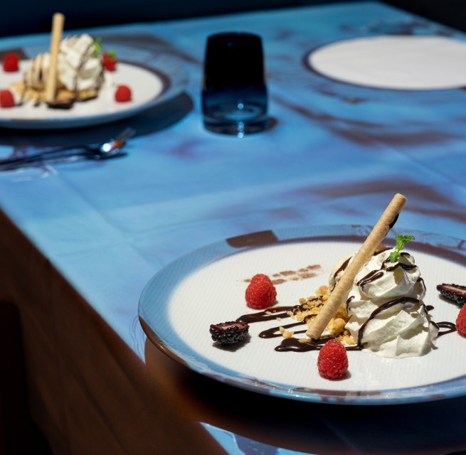 &copy; BEECH Fleesensee