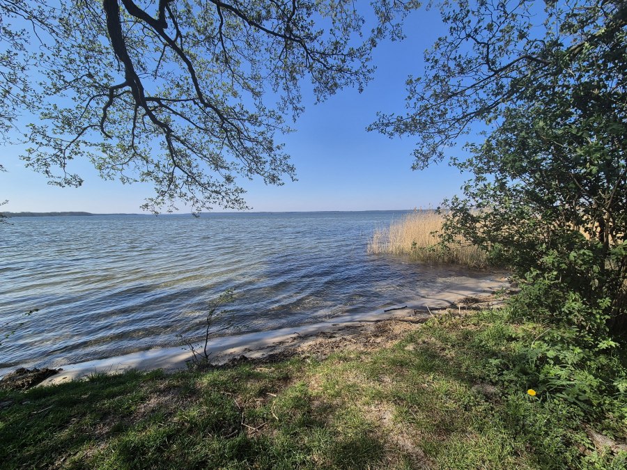 FKK Strand Klink, &copy; Gina Schulenberg